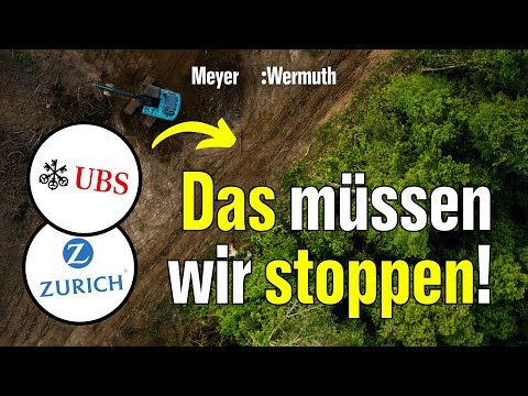 Was wir zwei Jahre lang vorbereitet haben | Meyer:Wermuth